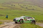 Skoda Fabia R5 evo 2019 года